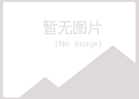 岳池县海莲工程有限公司